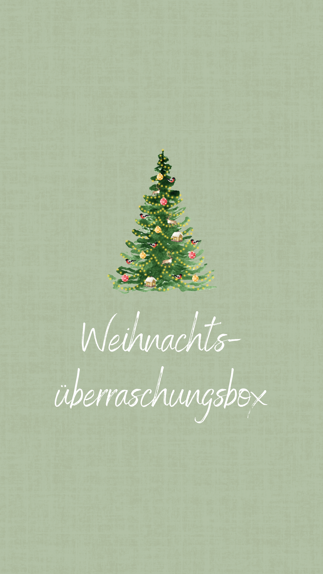 Weihnachtsüberraschungsbox