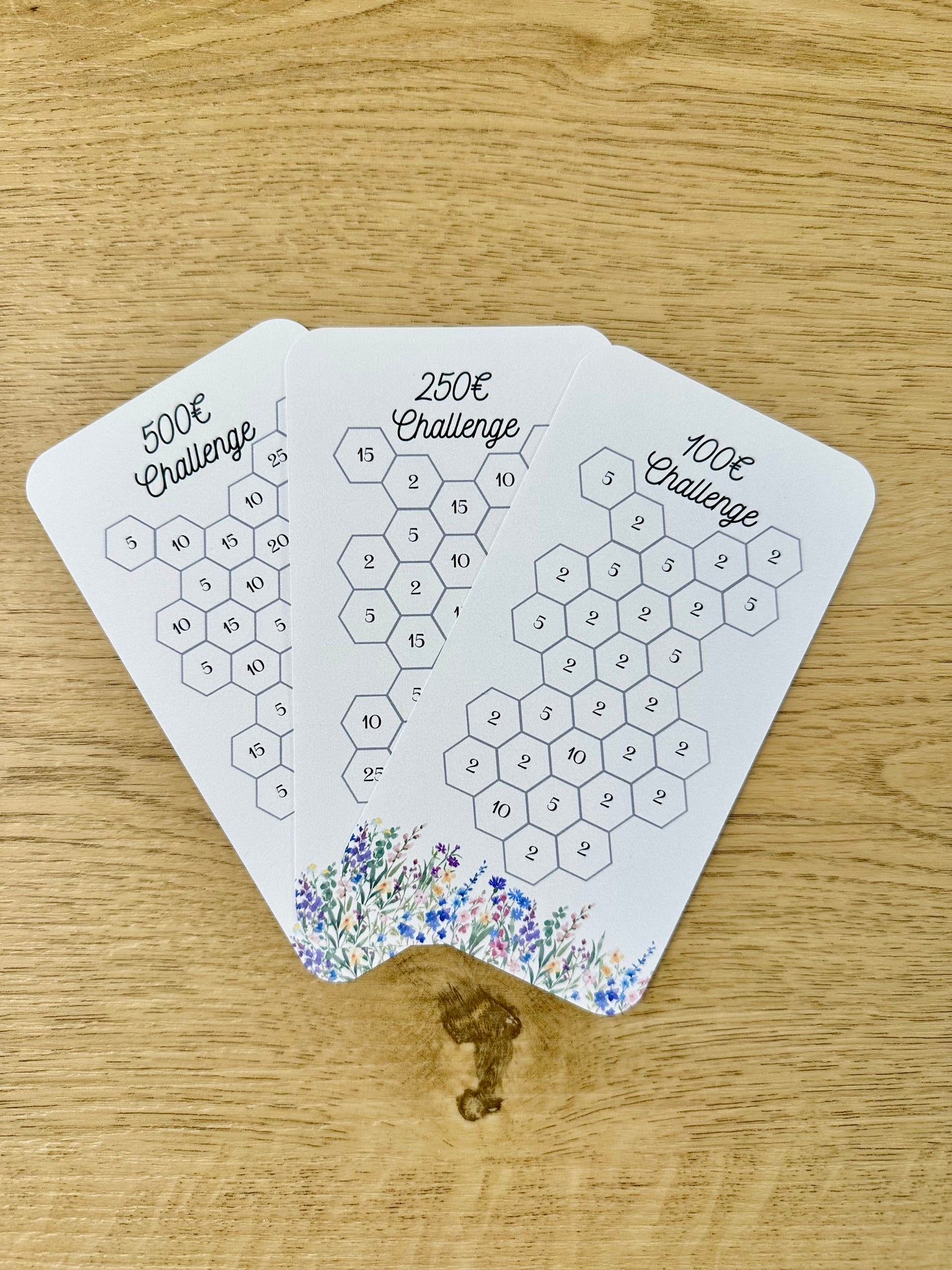 A6 100 € · 250 € · 500 € Challenge 🌷 Frühlings-Spar-Challenge