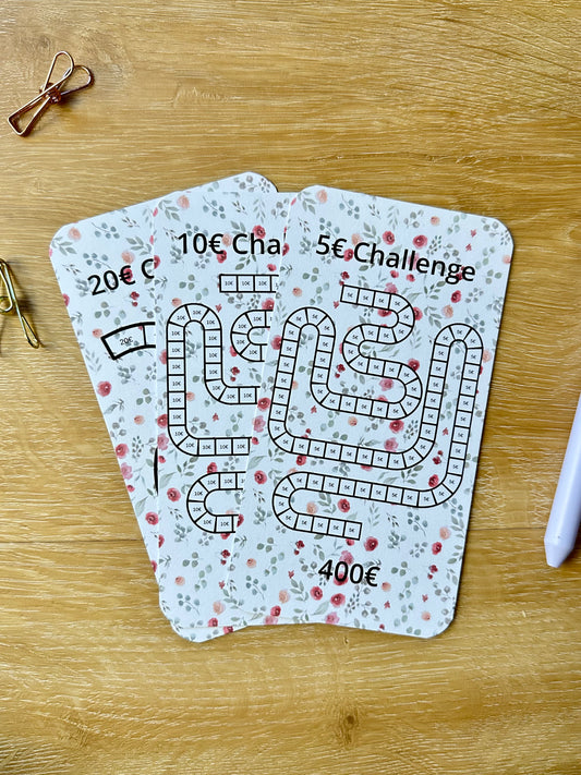 A6 5 Euro / 10 Euro / 20 Euro Challenge Blume  inkl. Budget Sheet